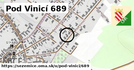 Pod Vinicí 689, Sezemice