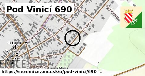 Pod Vinicí 690, Sezemice