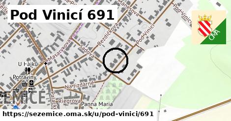 Pod Vinicí 691, Sezemice