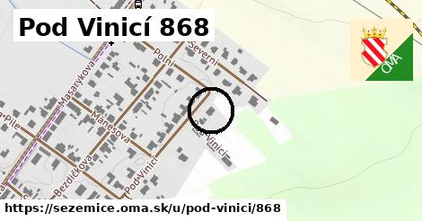 Pod Vinicí 868, Sezemice