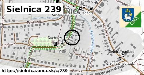 Sielnica <span class="supisne">239</span>