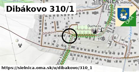 Dibákovo 310/1, Sielnica