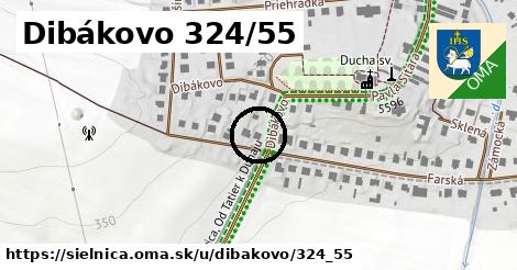 Dibákovo 324/55, Sielnica