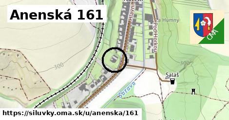 Anenská 161, Silůvky