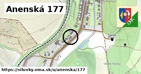 Anenská 177, Silůvky