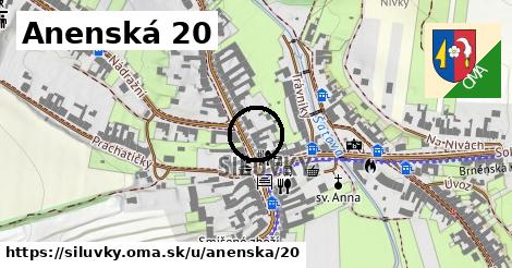 Anenská 20, Silůvky