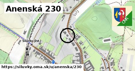 Anenská 230, Silůvky