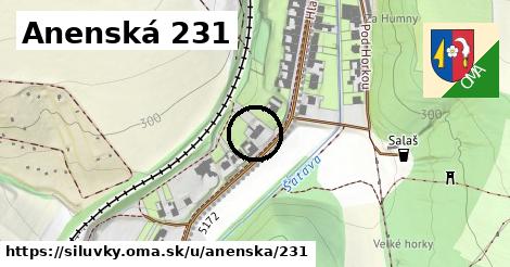 Anenská 231, Silůvky