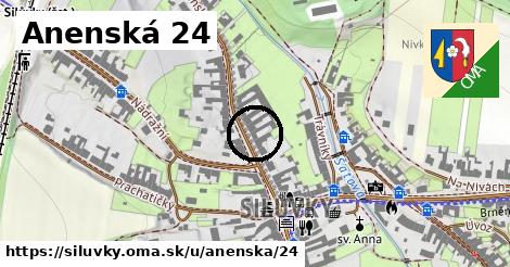 Anenská 24, Silůvky