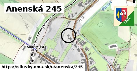 Anenská 245, Silůvky