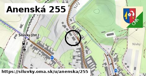 Anenská 255, Silůvky