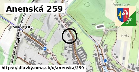 Anenská 259, Silůvky