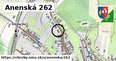Anenská 262, Silůvky