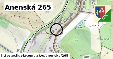 Anenská 265, Silůvky