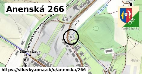 Anenská 266, Silůvky