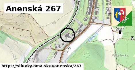 Anenská 267, Silůvky