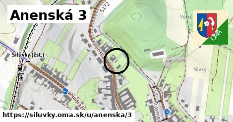 Anenská 3, Silůvky