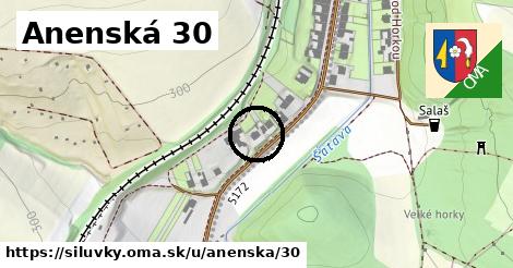 Anenská 30, Silůvky