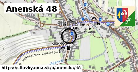 Anenská 48, Silůvky