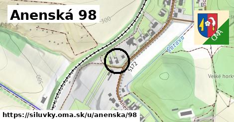 Anenská 98, Silůvky