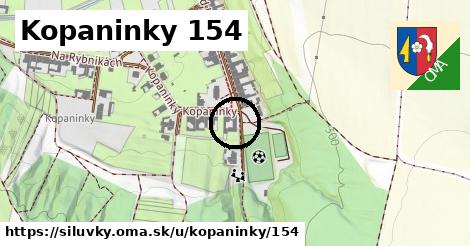 Kopaninky 154, Silůvky