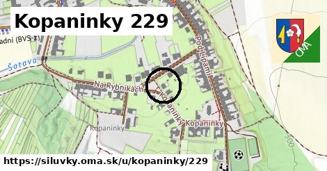 Kopaninky 229, Silůvky