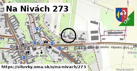 Na Nivách 273, Silůvky