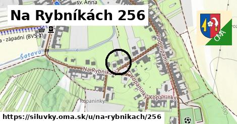 Na Rybníkách 256, Silůvky