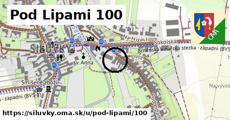 Pod Lipami 100, Silůvky