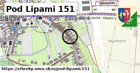 Pod Lipami 151, Silůvky