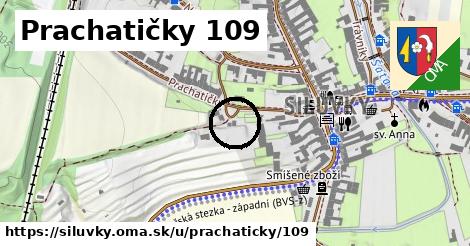 Prachatičky 109, Silůvky