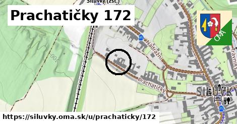 Prachatičky 172, Silůvky