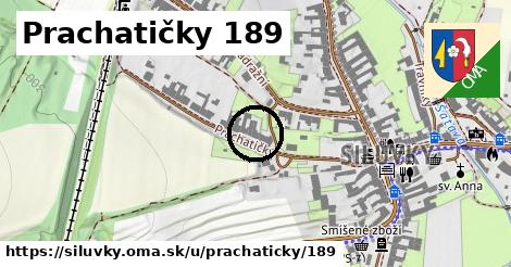 Prachatičky 189, Silůvky