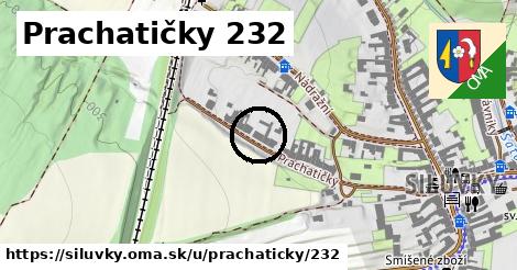 Prachatičky 232, Silůvky