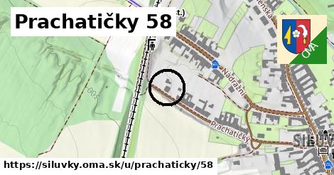 Prachatičky 58, Silůvky