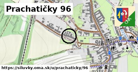 Prachatičky 96, Silůvky