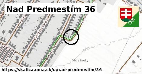 Nad Predmestím 36, Skalica