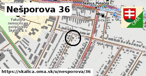 Nešporova 36, Skalica