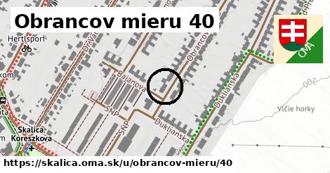 Obrancov mieru 40, Skalica