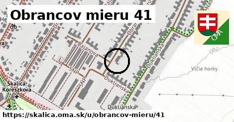 Obrancov mieru 41, Skalica