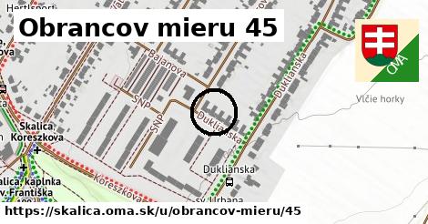 Obrancov mieru 45, Skalica