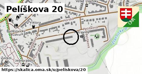 Pelíškova 20, Skalica