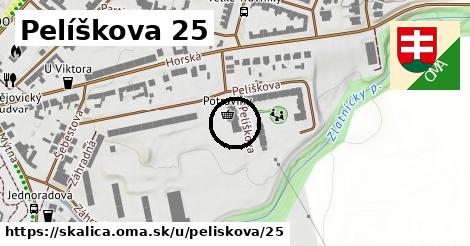 Pelíškova 25, Skalica