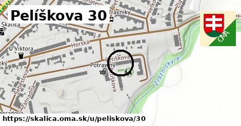 Pelíškova 30, Skalica