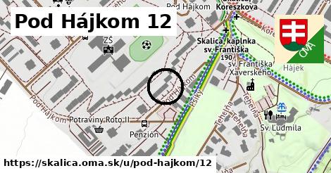 Pod Hájkom 12, Skalica