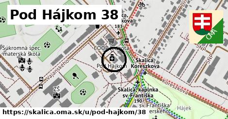 Pod Hájkom 38, Skalica