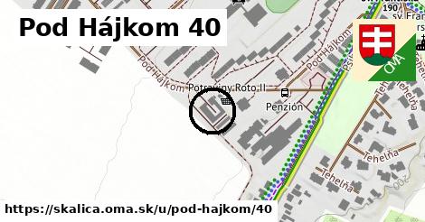 Pod Hájkom 40, Skalica