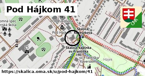 Pod Hájkom 41, Skalica