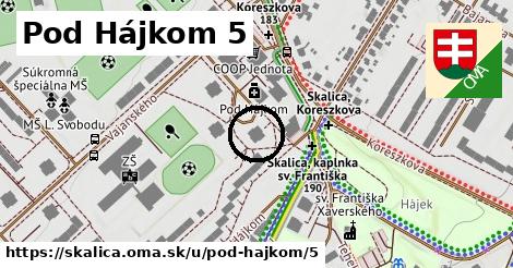 Pod Hájkom 5, Skalica