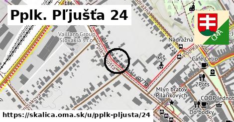 Pplk. Pľjušťa 24, Skalica